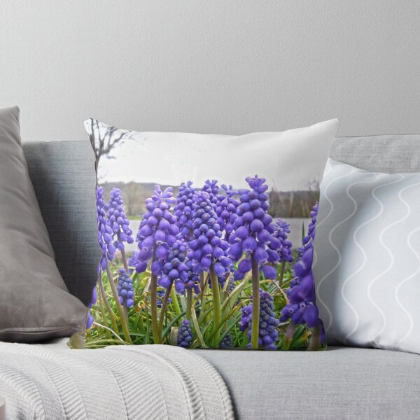 Item preview, An ocean of Grape Hyacinth designed and sold by Frankie Cat Photography.