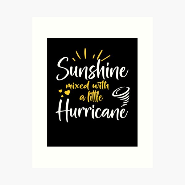 Sunshine Mixed With A Little Hurricane Baby Farmhouse Pine Wood Framed Canvas Sign