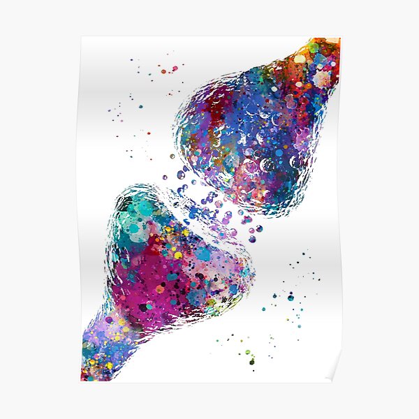 Synapse of Neurotransmitters Poster
