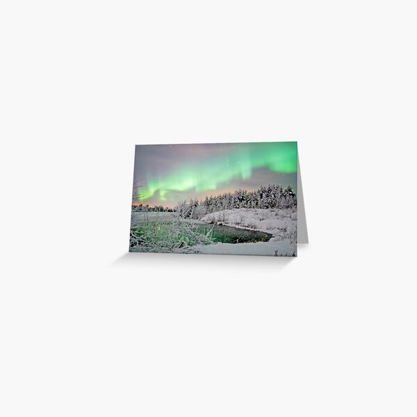 Aurora white, by Ken Komatsu Greeting Card