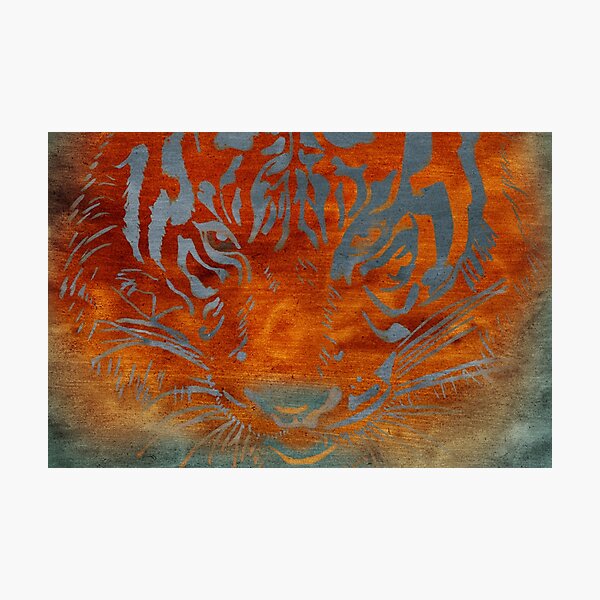 Tiger Photographic Print