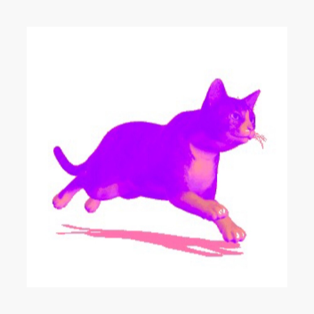 86+ Cute Purple Cat Aesthetic Images