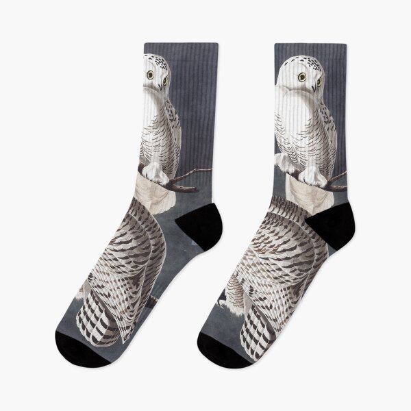 Item preview, Two snowy owls in the tree, vintage bird illustration designed and sold by Mauswohn.