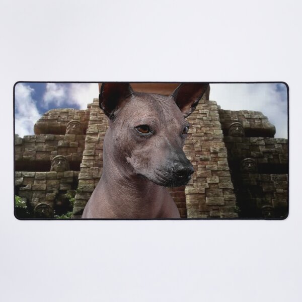 Item preview, Aztec dog designed and sold by edleon.