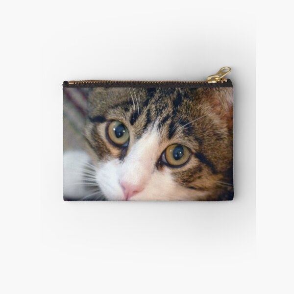 Item preview, Sweet Boy designed and sold by Frankie Cat Photography.