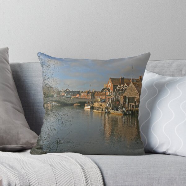 Item preview, River Frome, Wareham, January 2022 designed and sold by RedHillDigital.
