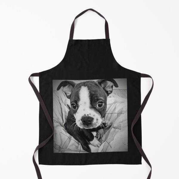 Item preview, DJ the Frenchton puppy - photograph designed and sold by MazerolleArt.