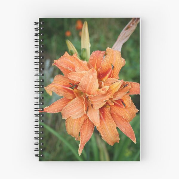 Item preview, Lilium designed and sold by BirgitOehmig.