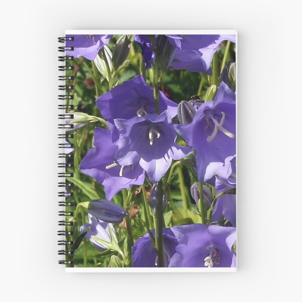 Item preview, Campanula designed and sold by BirgitOehmig.