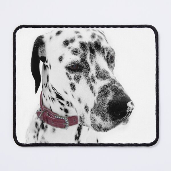 Item preview, Dalmatian Julius snowkissed  designed and sold by angel1.