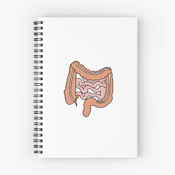 Item preview, Intestines designed and sold by Ruth & Willow Co.