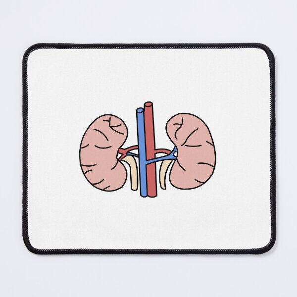 Item preview, Kidneys designed and sold by Ruth & Willow Co.