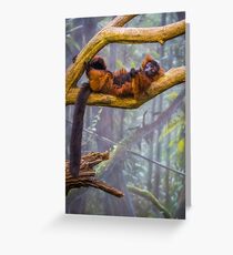 Taking it all in. And wishing I was back in Madagascar. Greeting Card