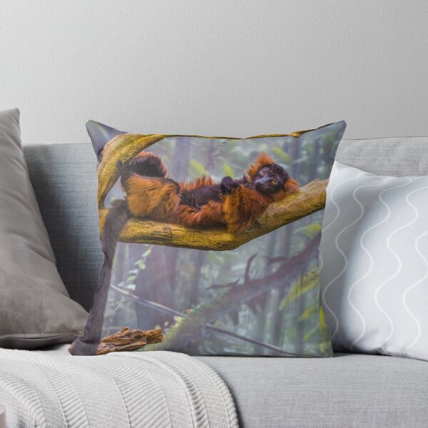 Item preview, Taking it all in. And wishing I was back in Madagascar. designed and sold by alan shapiro.