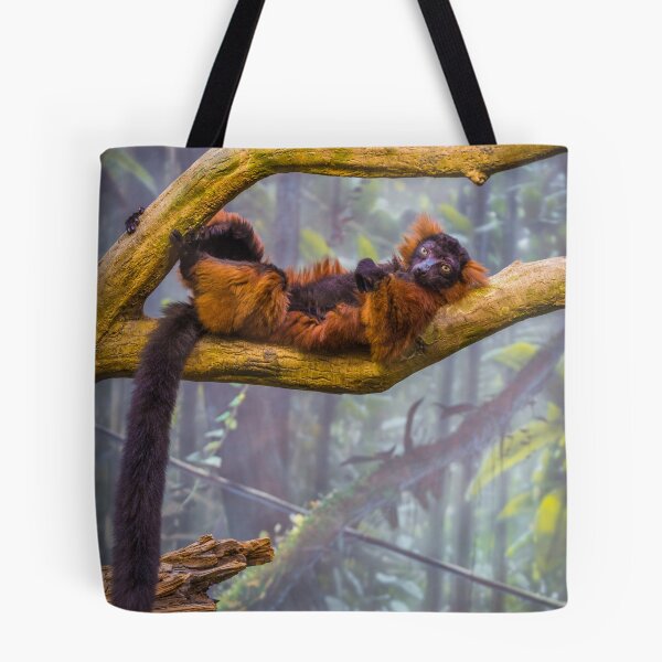 Item preview, Taking it all in. And wishing I was back in Madagascar. designed and sold by alan shapiro.