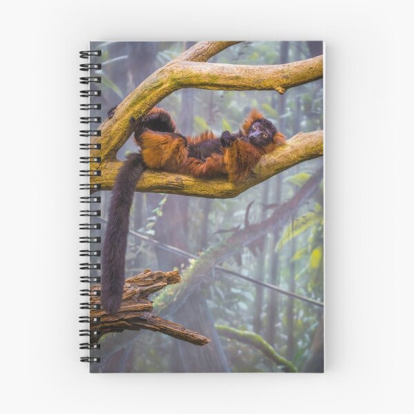 Item preview, Taking it all in. And wishing I was back in Madagascar. designed and sold by alan shapiro.