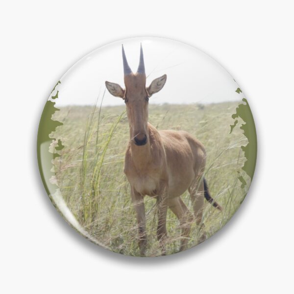 Item preview, Juvenile Hartebeest designed and sold by Numidiary.