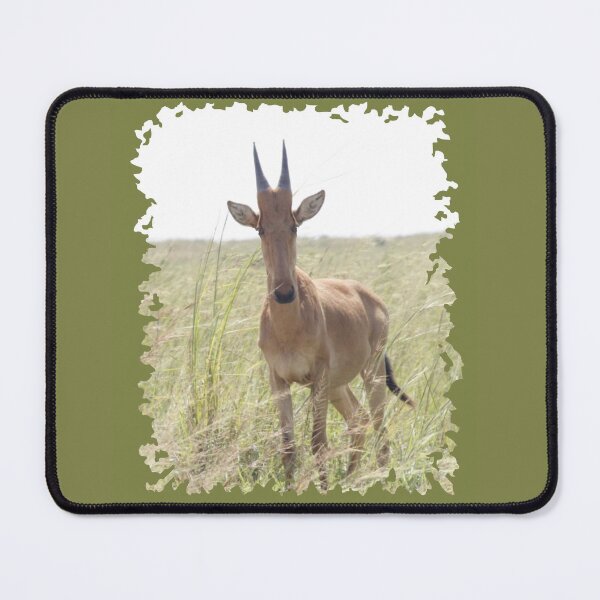 Item preview, Juvenile Hartebeest designed and sold by Numidiary.