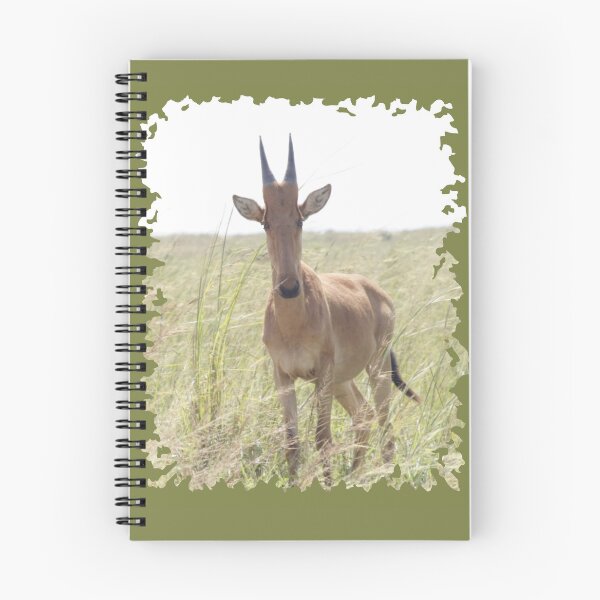 Item preview, Juvenile Hartebeest designed and sold by Numidiary.