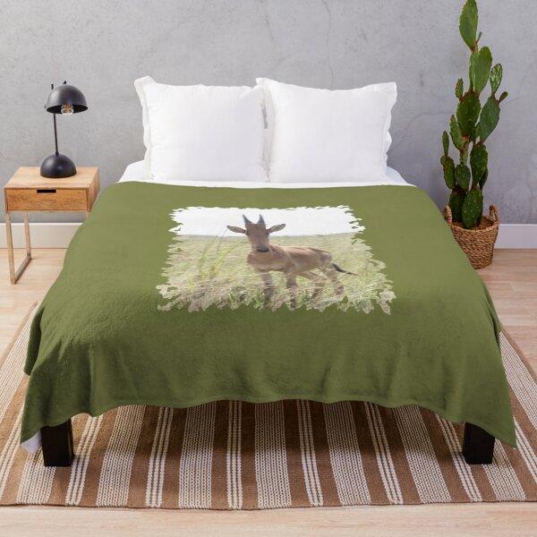 Item preview, Juvenile Hartebeest designed and sold by Numidiary.