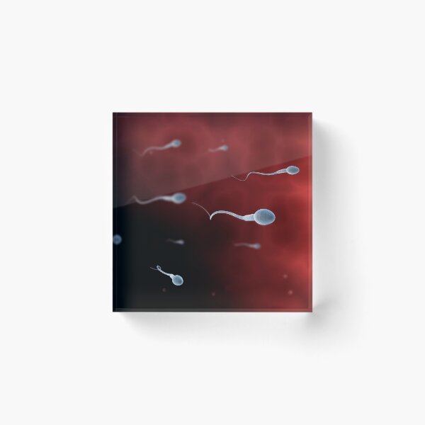 Item preview, Conceptual image of sperm inside fallopian tube. designed and sold by StocktrekImages.