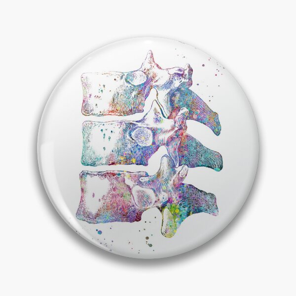 Item preview, Thoracic Vertebrae designed and sold by EvasDreams.