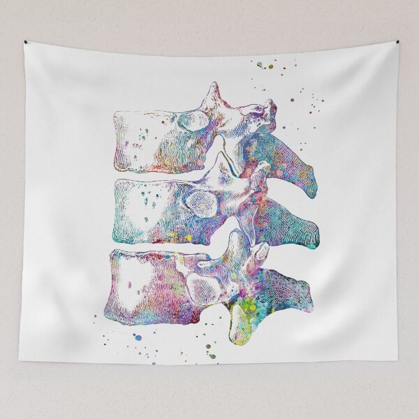 Item preview, Thoracic Vertebrae designed and sold by EvasDreams.