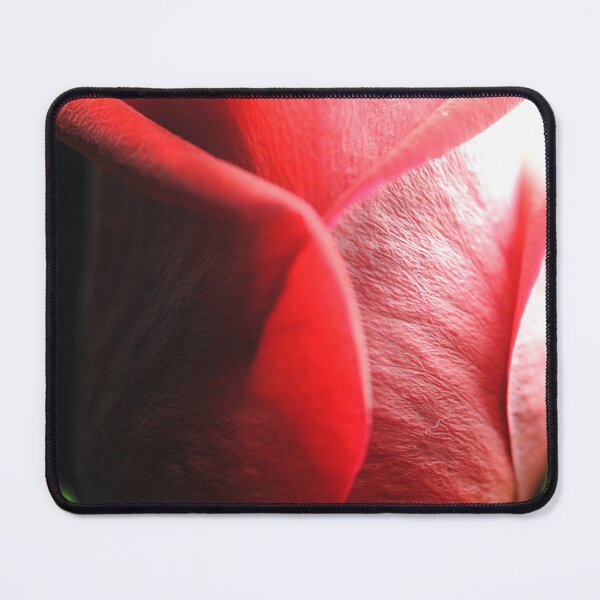 Item preview, Red Rose in Spotlight designed and sold by bloomingvine.
