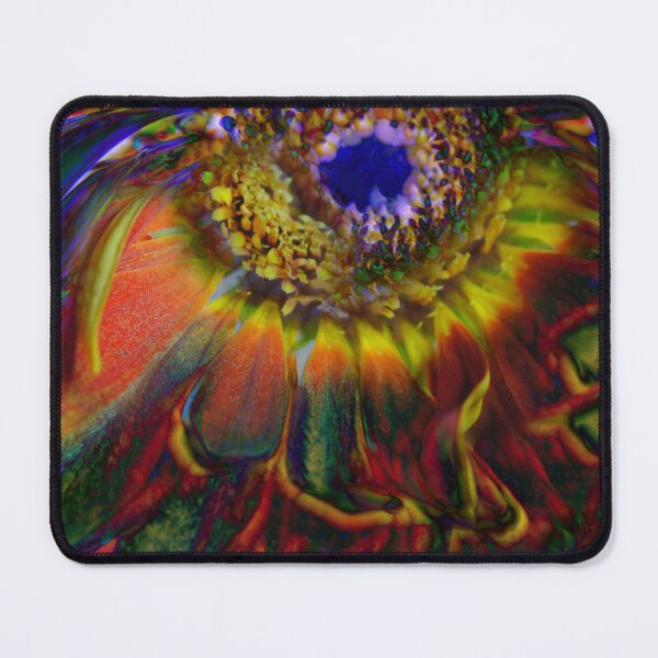 Item preview, Colorful withered Gerbera Daisy designed and sold by bloomingvine.