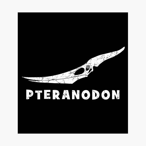 Artikel-Vorschau von Pteranodon Fossil, designt und verkauft von NicGrayGraphic.