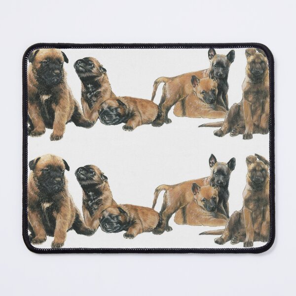 Item preview, Belgian Malinois Puppies designed and sold by BarbBarcikKeith.