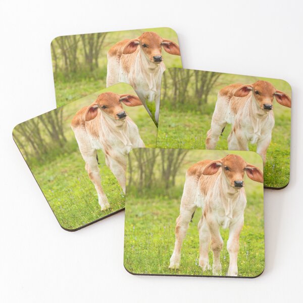 Item preview, Fuzzy eared baby Brahma designed and sold by noblephoto.