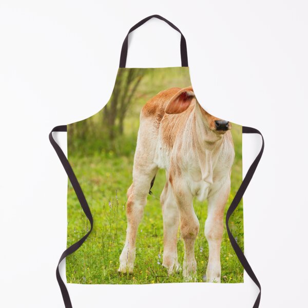 Item preview, Fuzzy eared baby Brahma designed and sold by noblephoto.