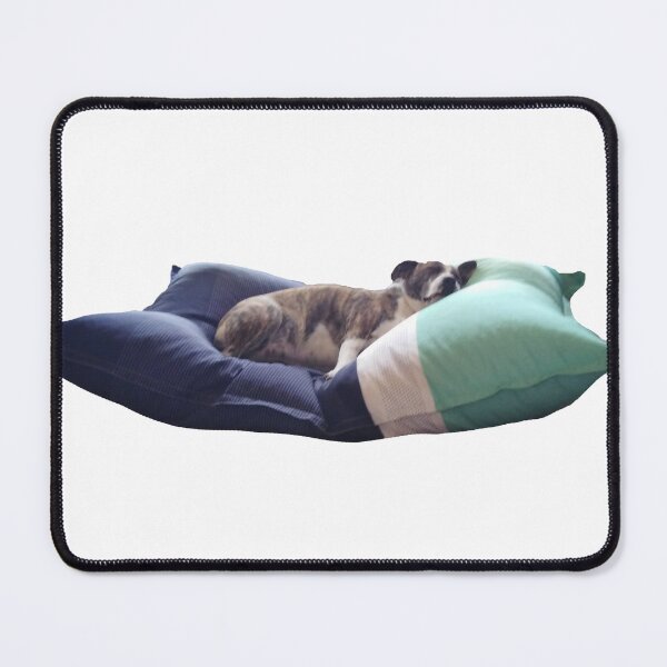 Item preview, dog on a beanbag designed and sold by Gemma Leslie.