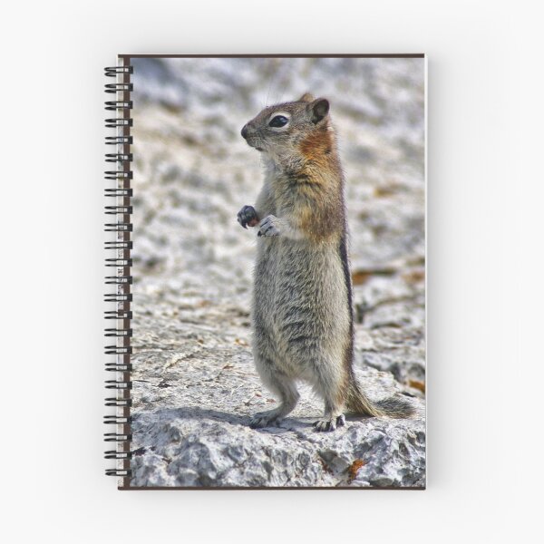 Artikelvorschau, Chipmunk-Collage entworfen und verkauft von Lynn Bolt.