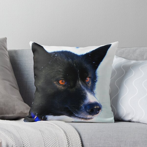 Item preview, Feeling a little Husky? designed and sold by David McGilchrist.