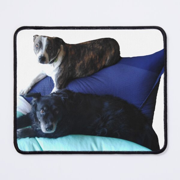 Item preview, dogs on beanbag designed and sold by Gemma Leslie.