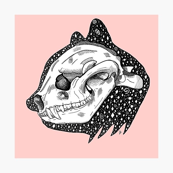 red panda skull Photographic Print