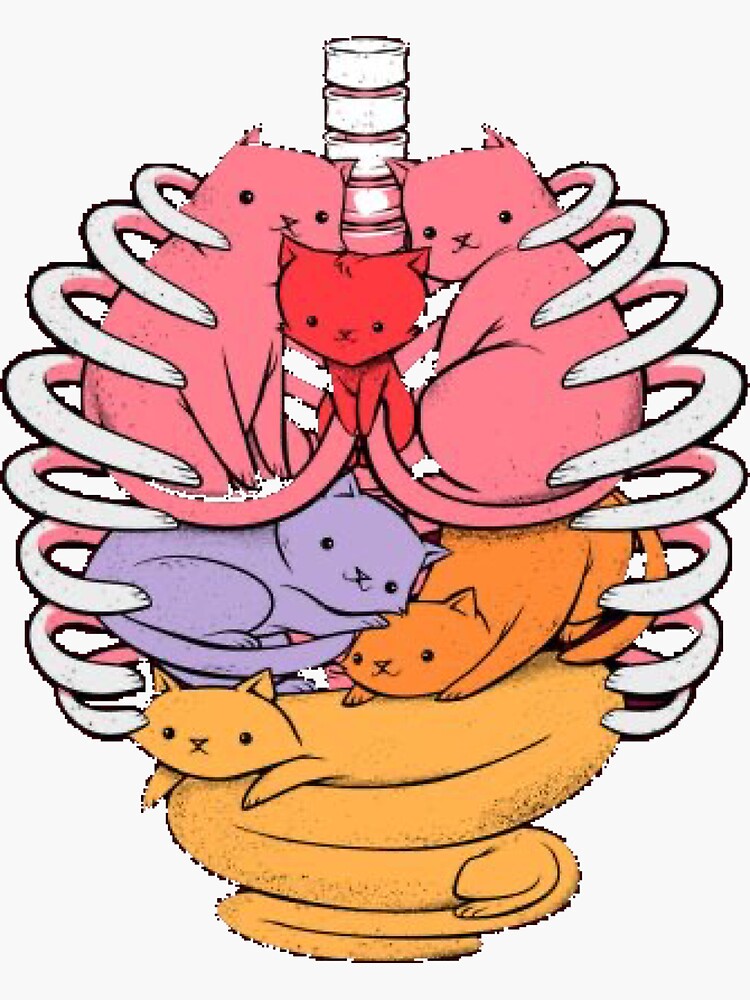 "Cats in ribs" Sticker for Sale by Neonic964 Redbubble