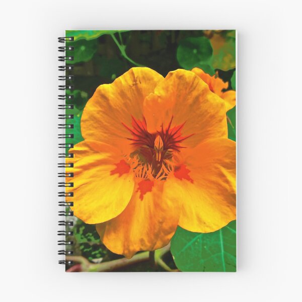 Item preview, Orange Nasturtium designed and sold by Shulie1.