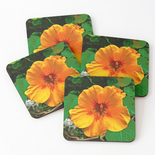 Item preview, Orange Nasturtium designed and sold by Shulie1.