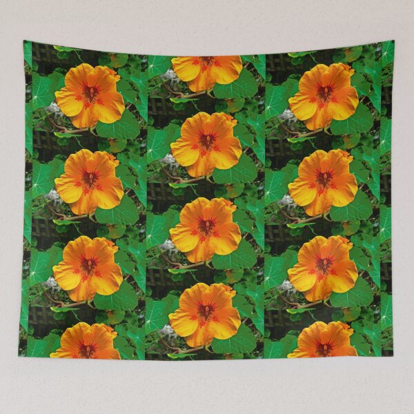 Item preview, Orange Nasturtium designed and sold by Shulie1.