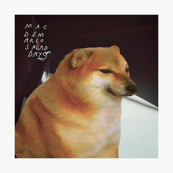 mac demarco this old dog leak download