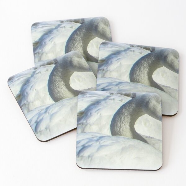 Item preview, Wintertime Swan designed and sold by passion4photos.
