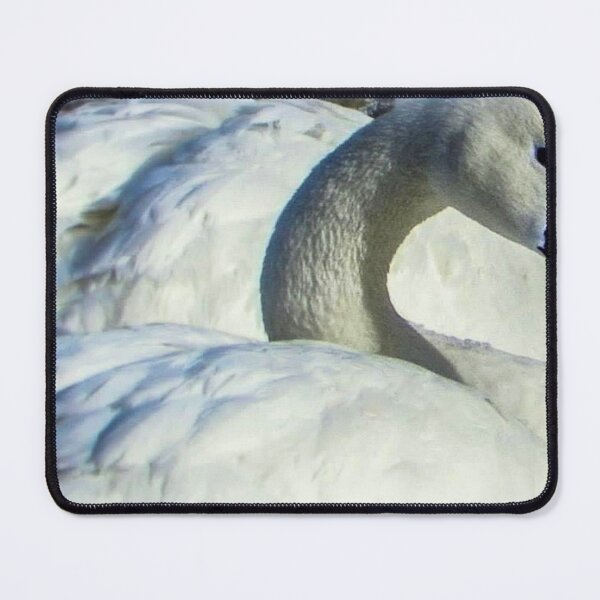 Item preview, Wintertime Swan designed and sold by passion4photos.