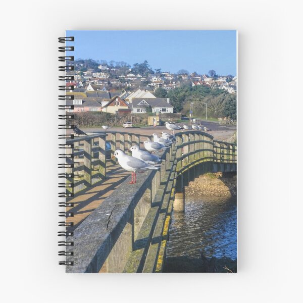 Item preview, Gulls line up........Charmouth Dorset UK designed and sold by lynn carter.