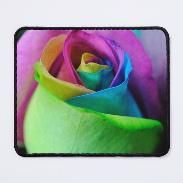 Item preview, Rainbow Roses 6 designed and sold by bloomingvine.