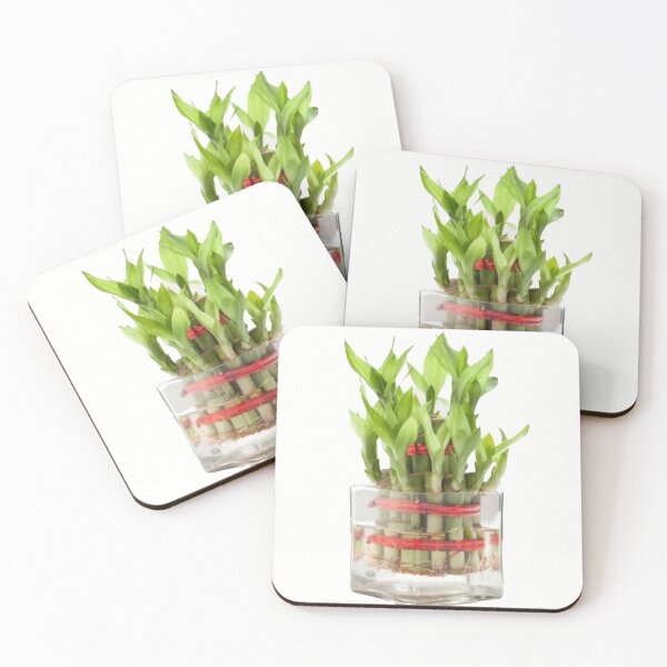 Item preview, House Plant designed and sold by Saiamrita123.
