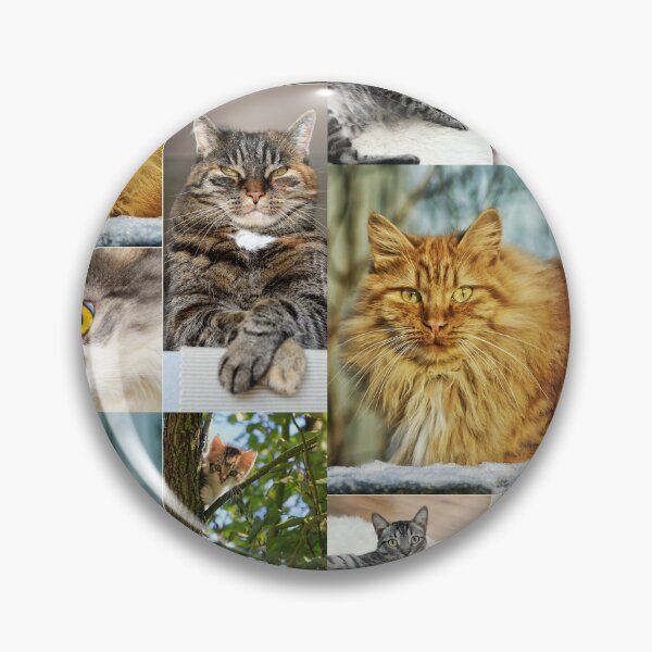 Item preview, Classical Cats Montage Set #1 designed and sold by Krispsm.