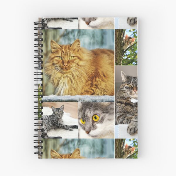 Item preview, Classical Cats Montage Set #1 designed and sold by Krispsm.